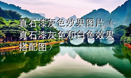 真石漆灰色效果圖片（真石漆灰色和白色效果搭配圖）