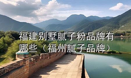 福建別墅膩子粉品牌有哪些（福州膩子品牌）
