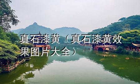 真石漆黃（真石漆黃效果圖片大全）