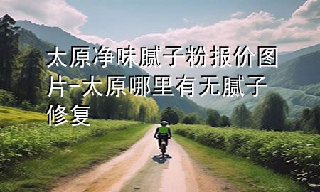 太原凈味膩子粉報價圖片-太原哪里有無膩子修復(fù)