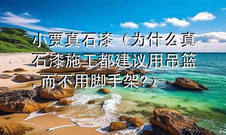 小賈真石漆（為什么真石漆施工都建議用吊籃,而不用腳手架?）