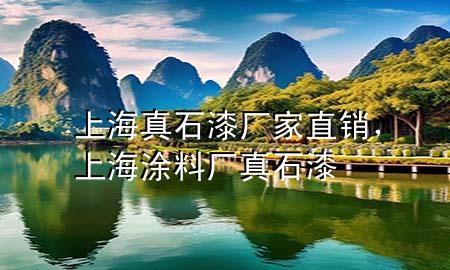 上海真石漆廠家直銷，上海涂料廠真石漆