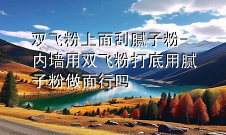 雙飛粉上面刮膩子粉-內(nèi)墻用雙飛粉打底用膩子粉做面行嗎