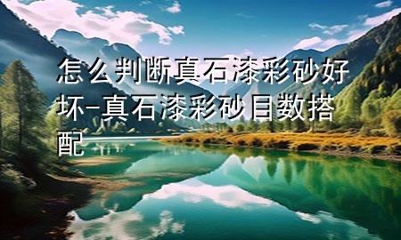 怎么判斷真石漆彩砂好壞-真石漆彩砂目數(shù)搭配