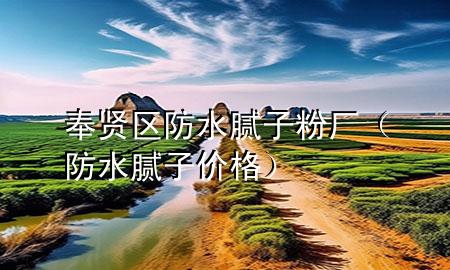 奉賢區(qū)防水膩子粉廠（防水膩子價格）