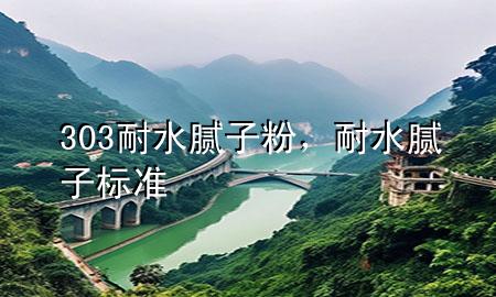 303耐水膩子粉，耐水膩子標準