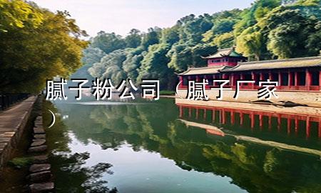 膩?zhàn)臃?公司（膩?zhàn)訌S家）