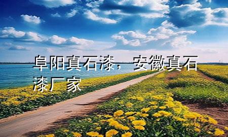 阜陽(yáng)真石漆，安徽真石漆廠(chǎng)家