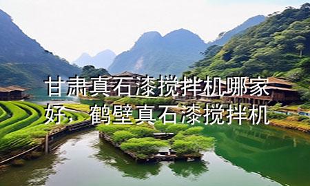 甘肅真石漆攪拌機(jī)哪家好，鶴壁真石漆攪拌機(jī)