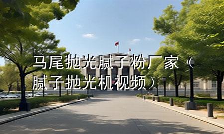馬尾拋光膩子粉廠家（膩子拋光機視頻）