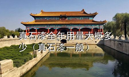 真石漆全年用量大概多少（真石漆一般）