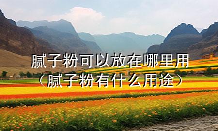 膩?zhàn)臃劭梢苑旁谀睦镉茫佔(zhàn)臃塾惺裁从猛荆?>
             </div>
             <!--文章無圖的情況下插入一張圖片end-->
              
      <p>大家好，今天小編關(guān)注到一個(gè)比較有意思的話題，就是關(guān)于膩?zhàn)臃劭梢苑旁谀睦镉玫膯栴}，于是小編就整理了5個(gè)相關(guān)介紹膩?zhàn)臃劭梢苑旁谀睦镉玫慕獯穑屛覀円黄鹂纯窗伞?/p><ol type=