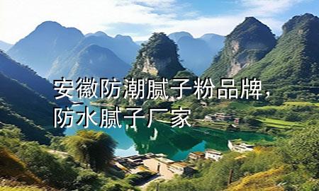 安徽防潮膩?zhàn)臃燮放?，防水膩?zhàn)訌S家