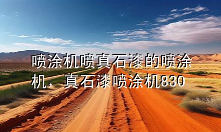 噴涂機噴真石漆的噴涂機，真石漆噴涂機830