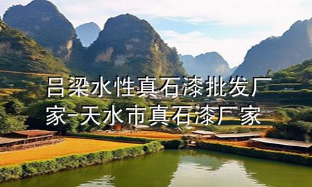 呂梁水性真石漆批發(fā)廠家-天水市真石漆廠家