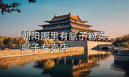 朝陽(yáng)哪里有膩?zhàn)臃圪u(mài)，膩?zhàn)訉?zhuān)賣(mài)店