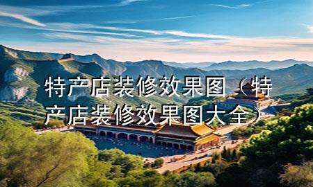 特產(chǎn)店裝修效果圖（特產(chǎn)店裝修效果圖大全）