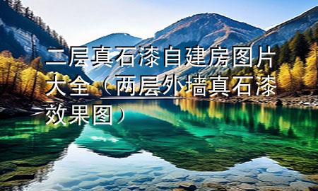 二層真石漆自建房圖片大全（兩層外墻真石漆效果圖）