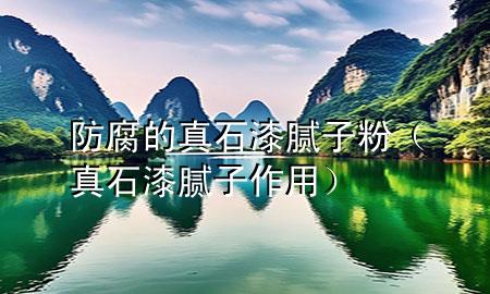 防腐的真石漆膩子粉（真石漆膩子作用）