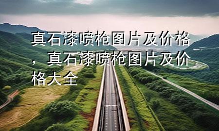 真石漆噴槍圖片及價格，真石漆噴槍圖片及價格大全