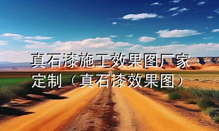 真石漆施工效果圖廠家定制（真石漆 效果圖）