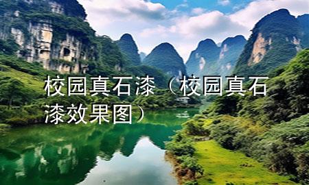 校園真石漆（校園真石漆效果圖）