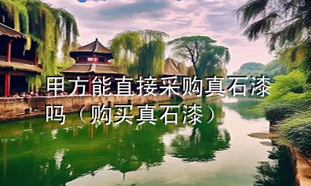 甲方能直接采購真石漆嗎（購買真石漆）