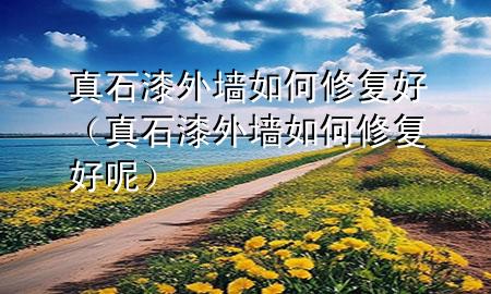 真石漆外墻如何修復(fù)好（真石漆外墻如何修復(fù)好呢）