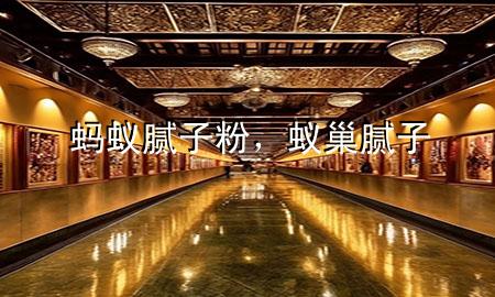 螞蟻膩子粉，蟻巢膩子