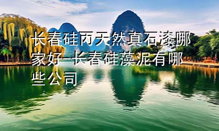 長春硅丙天然真石漆哪家好-長春硅藻泥有哪些公司