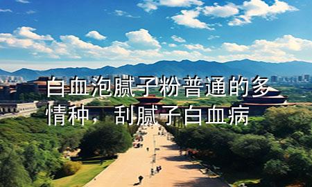 白血泡膩子粉普通的多情種，刮膩子白血病