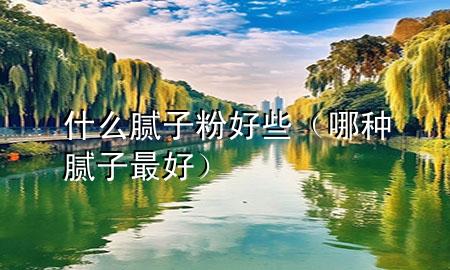 什么膩子粉好些（哪種膩子最好）