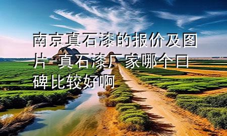 南京真石漆的報價及圖片-真石漆廠家哪個口碑比較好啊