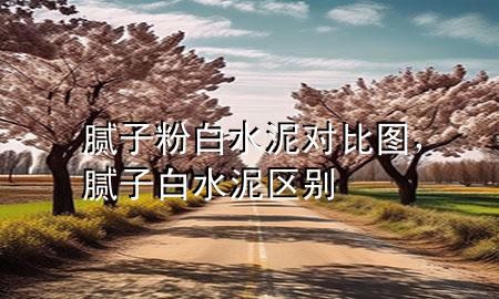 膩子粉 白水泥 對比圖，膩子白水泥區(qū)別