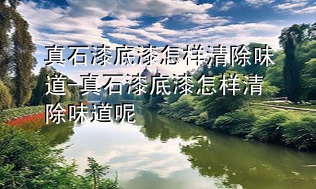 真石漆底漆怎樣清除味道-真石漆底漆怎樣清除味道呢
