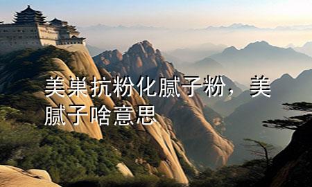 美巣抗粉化膩子粉，美膩子啥意思