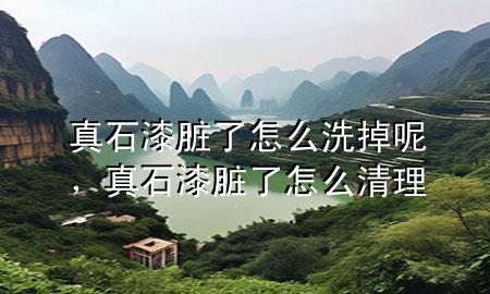 真石漆臟了怎么洗掉呢，真石漆臟了怎么清理