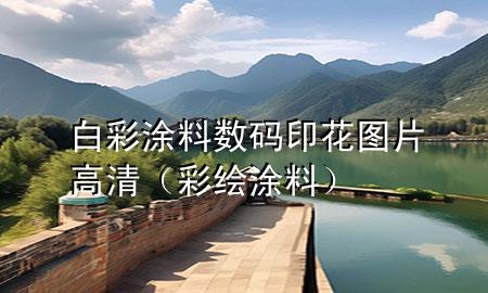 白彩涂料數(shù)碼印花圖片高清（彩繪涂料）