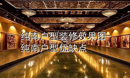純南戶型裝修效果圖-純南戶型優(yōu)缺點(diǎn)