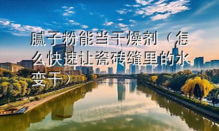 膩?zhàn)臃勰墚?dāng)干燥劑（怎么快速讓瓷磚縫里的水變干）