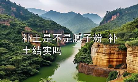補(bǔ)土是不是膩?zhàn)臃?補(bǔ)土結(jié)實(shí)嗎