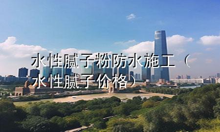 水性膩子粉防水施工（水性膩子價格）