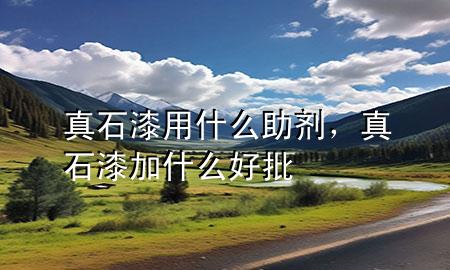 真石漆用什么助劑，真石漆加什么好批