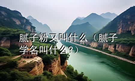 膩子粉又叫什么（膩子學名叫什么?）