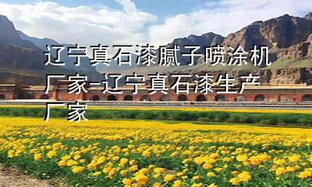 遼寧真石漆膩子噴涂機廠家-遼寧真石漆生產廠家
