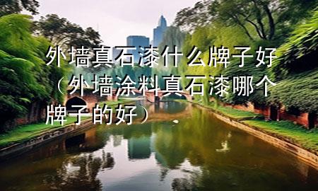 外墻真石漆什么牌子好（外墻涂料真石漆哪個牌子的好）