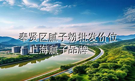 奉賢區(qū)膩子粉批發(fā)價位，上海膩子品牌
