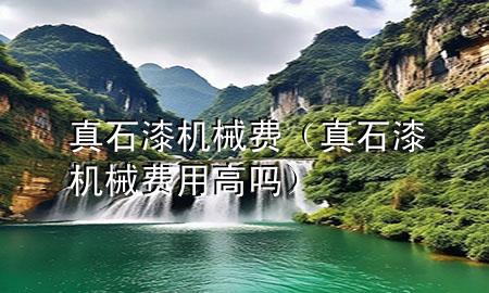 真石漆機(jī)械費(fèi)（真石漆機(jī)械費(fèi)用高嗎）