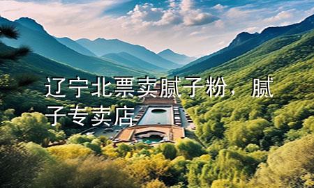遼寧北票賣膩子粉，膩子專賣店