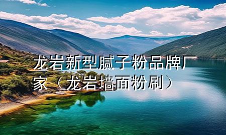 龍巖新型膩?zhàn)臃燮放茝S家（龍巖墻面粉刷）